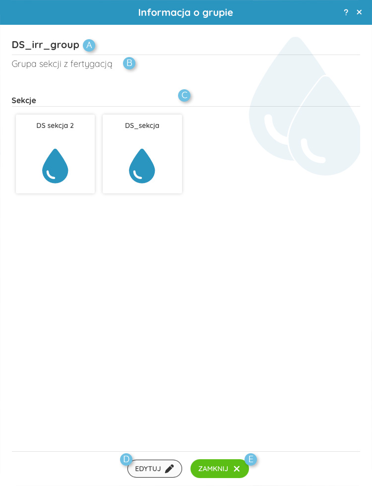 Okienko ze szczegółami grupy sekcji